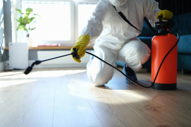 Reliable Sewage Cleanup contractor in Jamestown, CA by Trauma Clean Pros